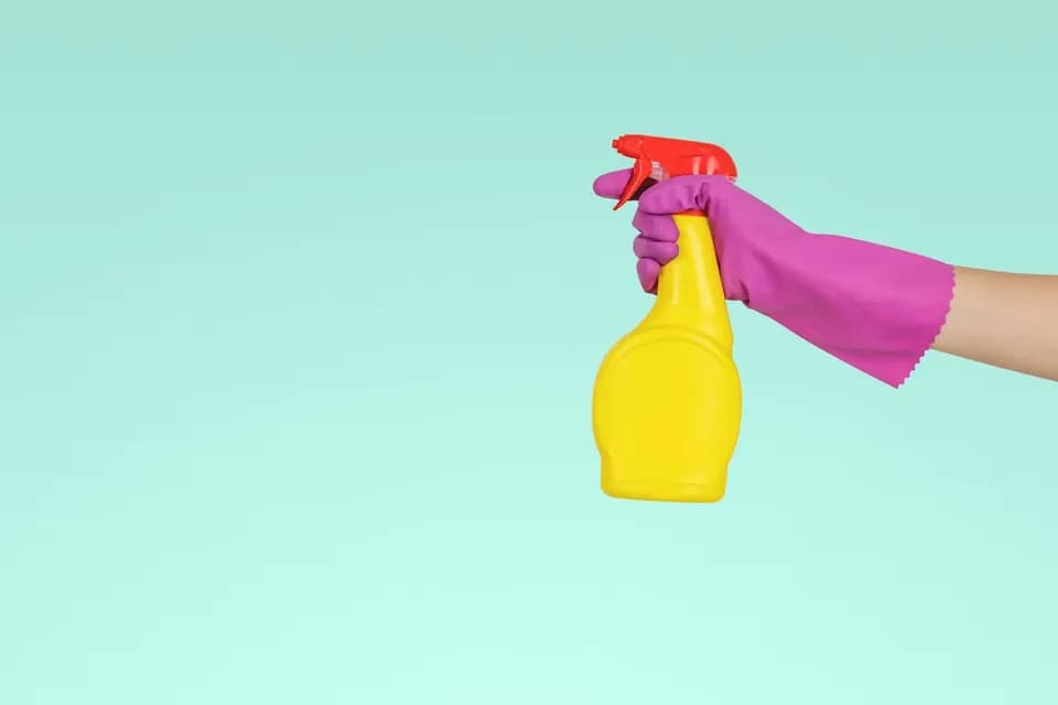 Safe pest control treatment in Deira homes by Top Fixers